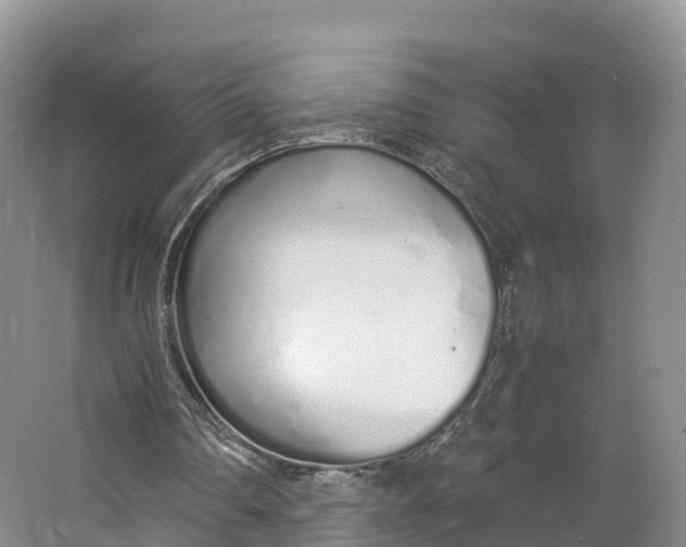 X0000064730290200602241729