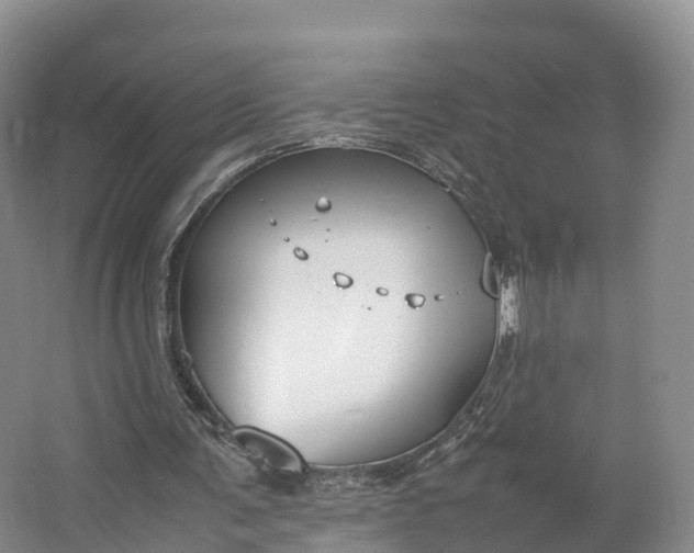 X0000064730291200602241729