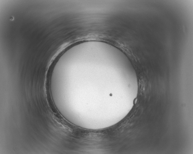 X0000064730292200602241729