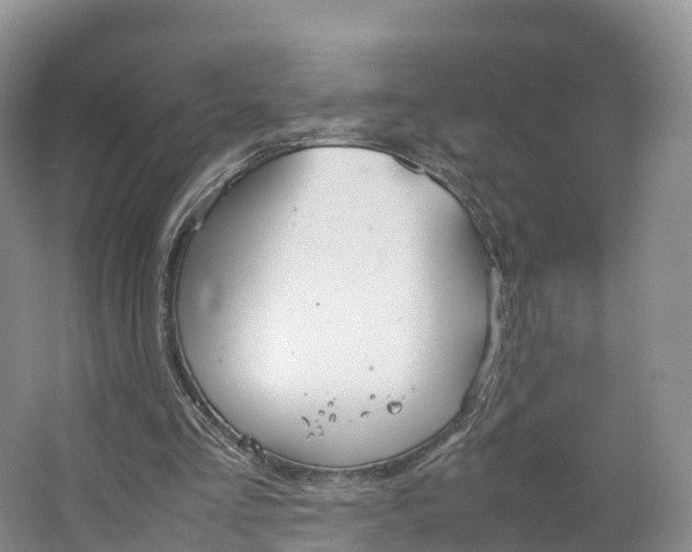 X0000064730293200602241729