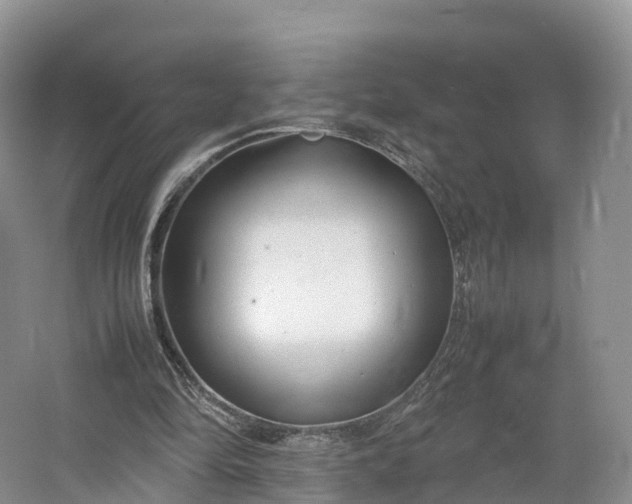 X0000064730294200602241729