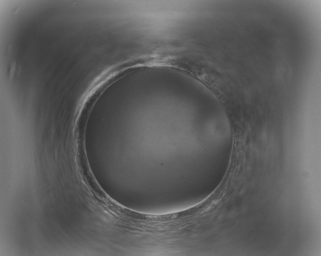 X0000064730295200602241729