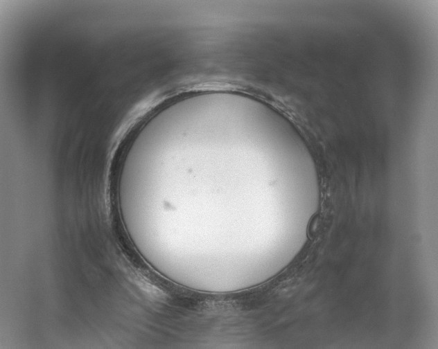 X0000064730296200602241729