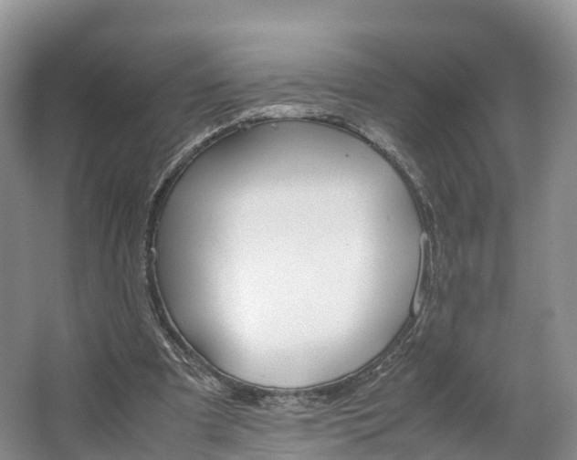 X0000064730297200602241729