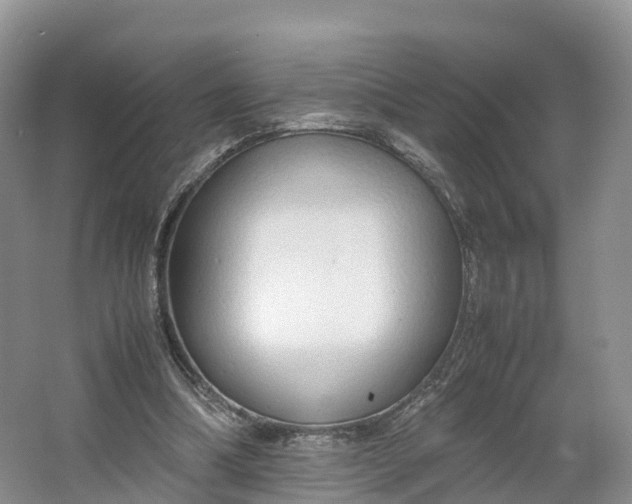 X0000064730298200602241729