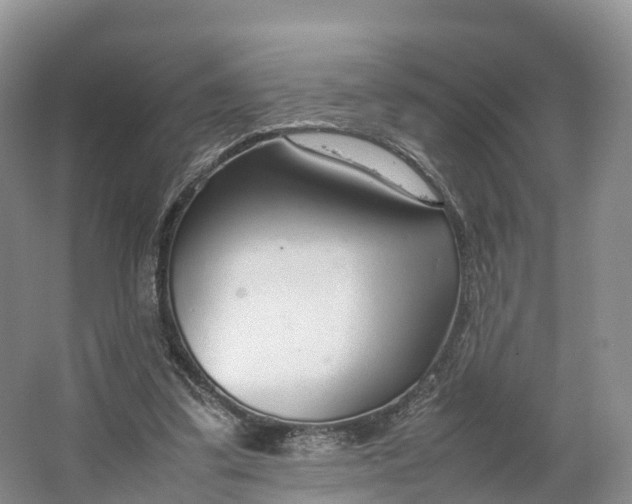 X0000064730299200602241729