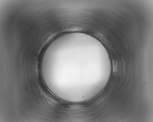 X0000064730300200602241729