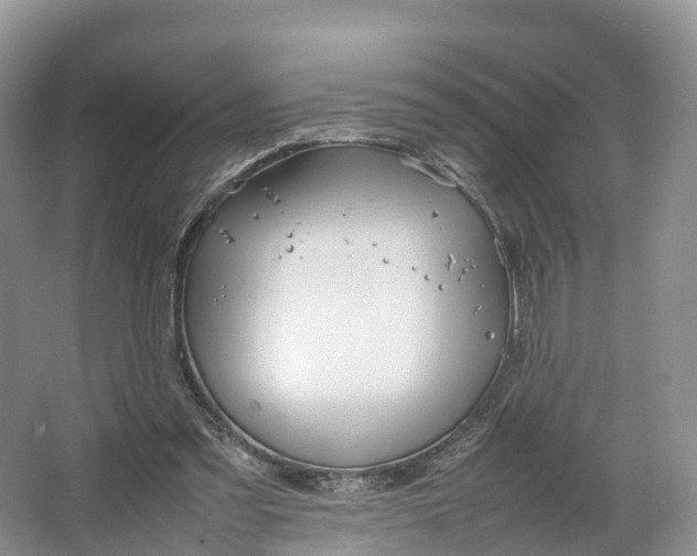 X0000064730301200602241729