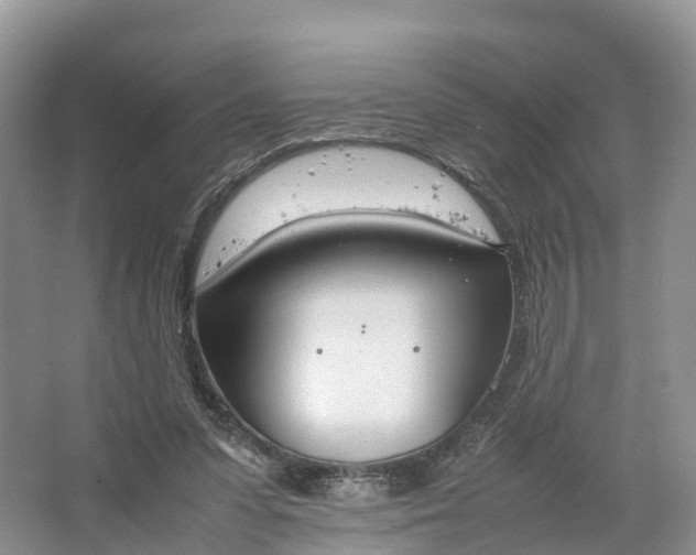 X0000064730303200602241729