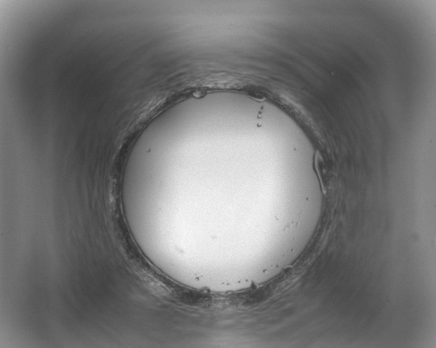 X0000064730305200602241729