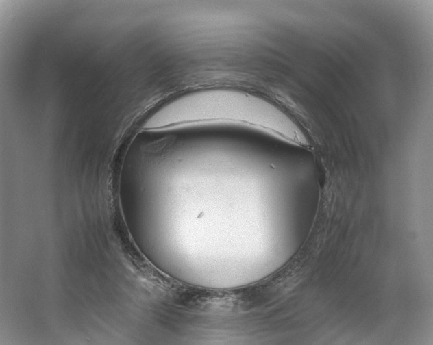 X0000064730306200602241729