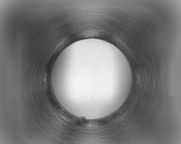 X0000064730308200602241729