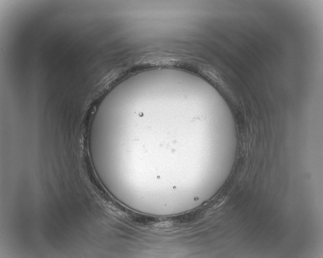 X0000064730309200602241729