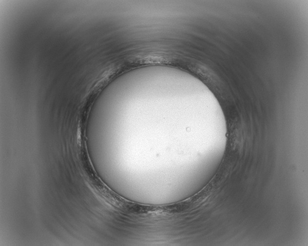 X0000064730310200602241729