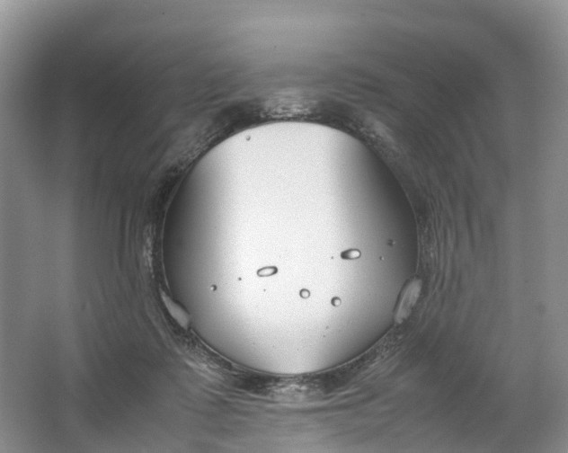 X0000064730315200602241728