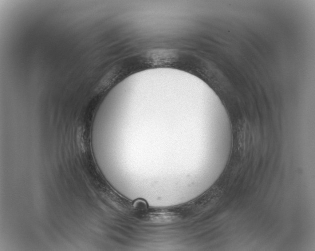 X0000064730316200602241728