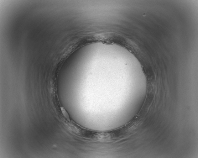 X0000064730317200602241728