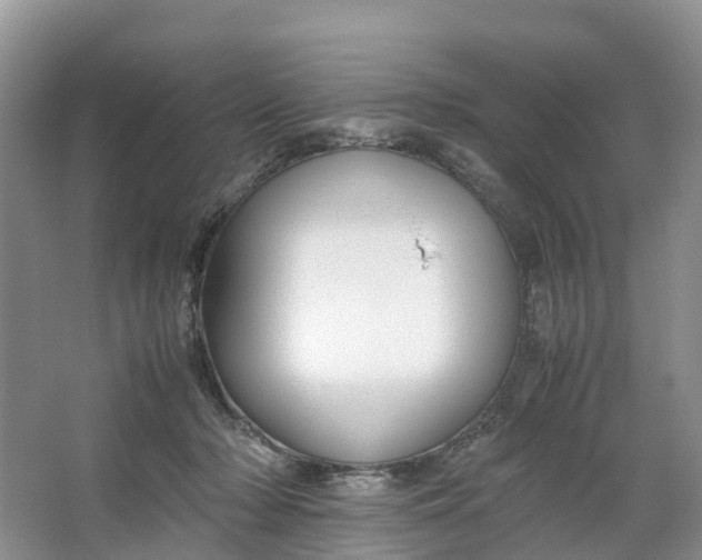 X0000064730318200602241728