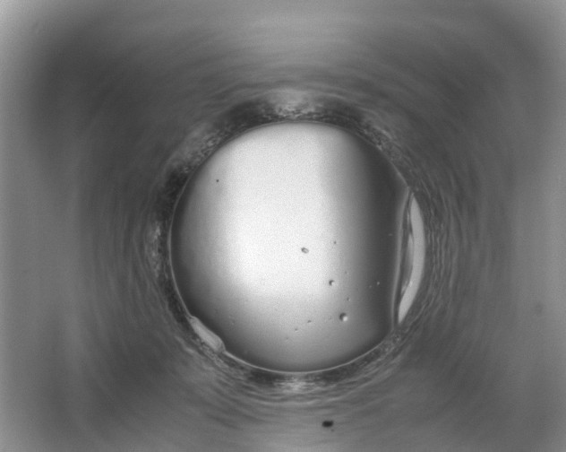 X0000064730319200602241728