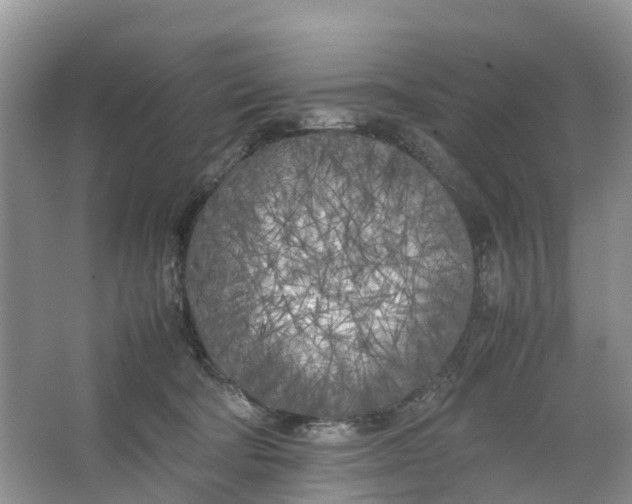 X0000064730322200602241728