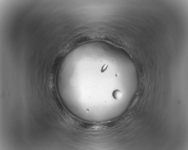 X0000064730323200602241728