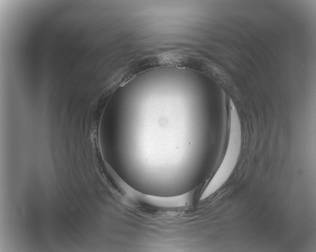 X0000064730329200602241728