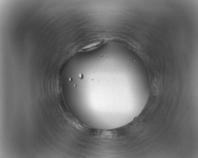 X0000064730330200602241728