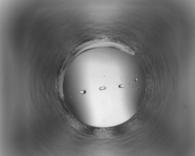 X0000064730331200602241728