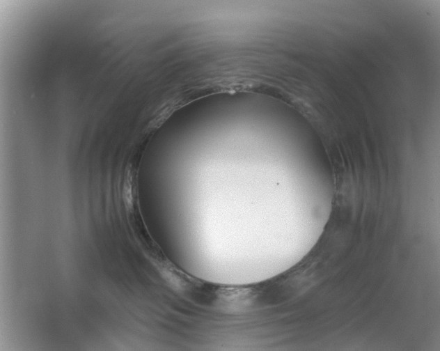 X0000064730334200602241728