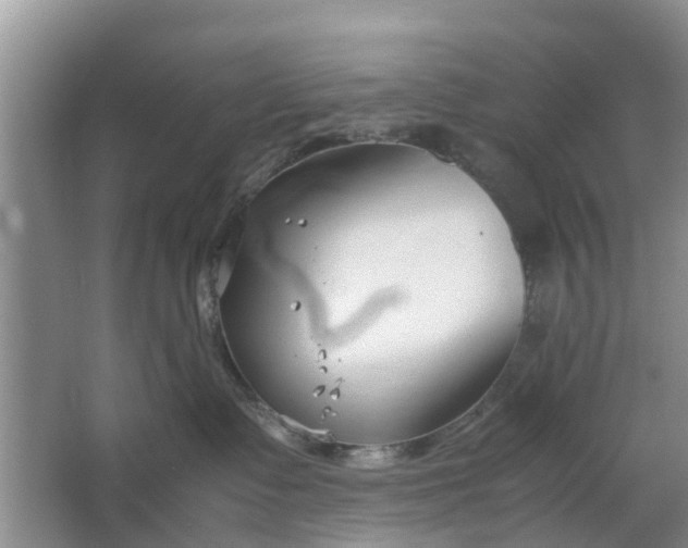 X0000064730335200602241728