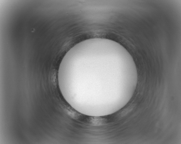 X0000064730336200602241728