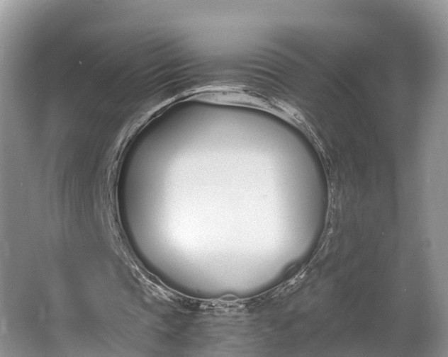 X0000064730337200602241727