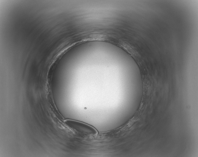 X0000064730338200602241727