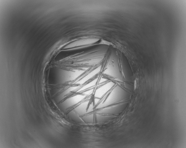 X0000064730339200602241727