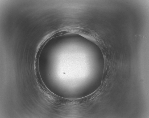 X0000064730340200602241727