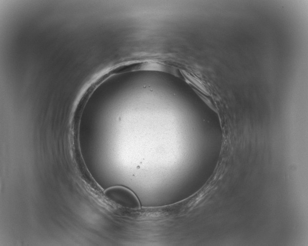 X0000064730342200602241727