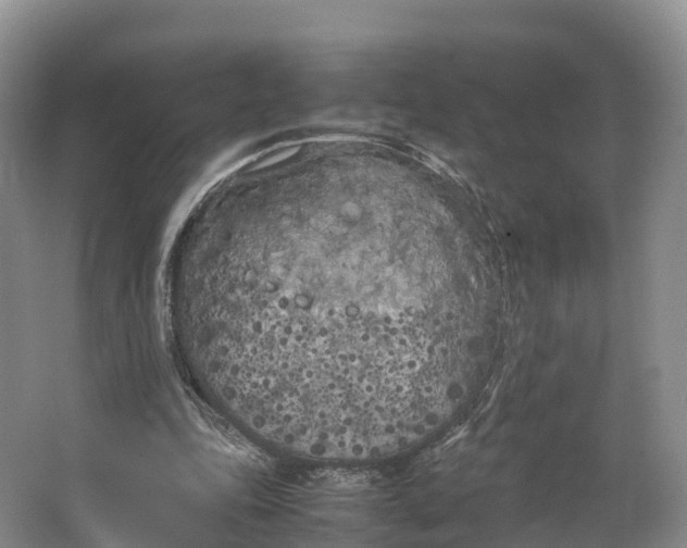 X0000064730343200602241727