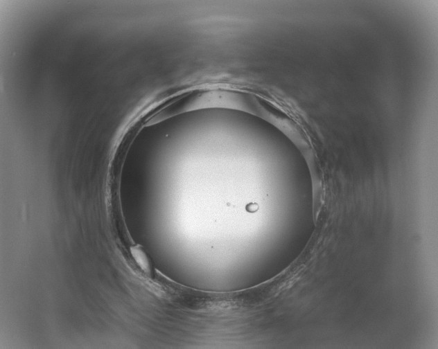 X0000064730344200602241727