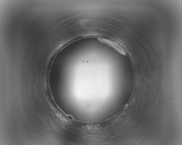 X0000064730345200602241727