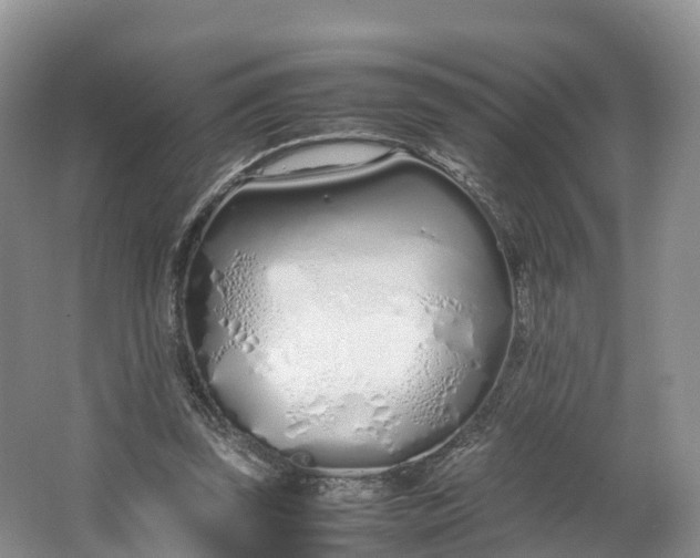 X0000064730347200602241727