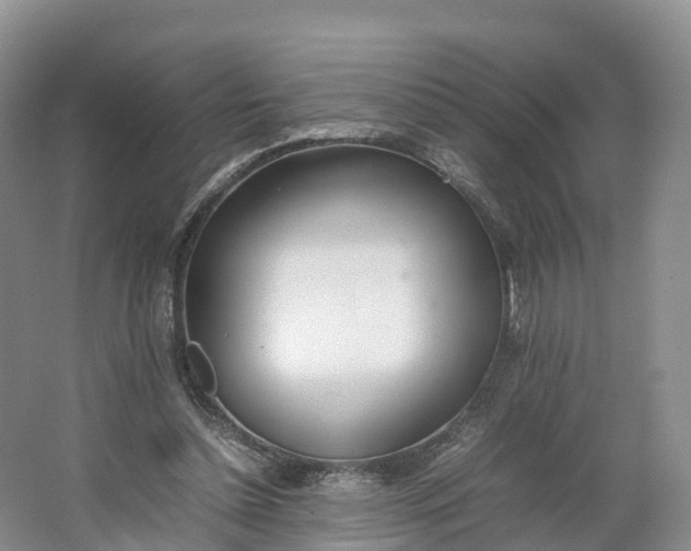 X0000064730348200602241727