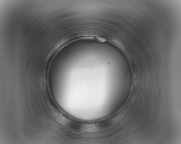 X0000064730349200602241727