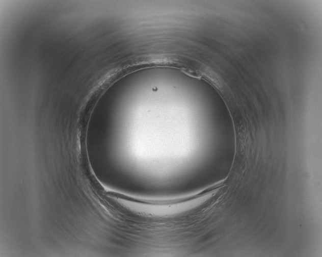 X0000064730350200602241727