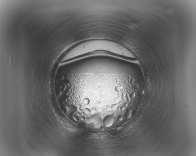 X0000064730351200602241727