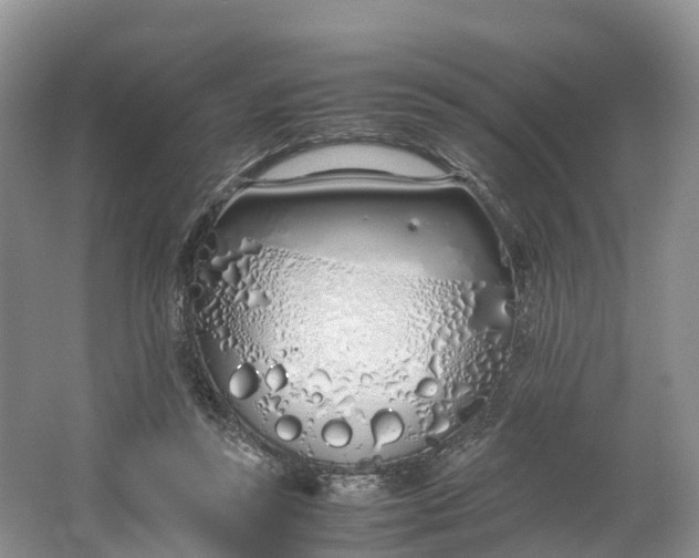 X0000064730355200602241727