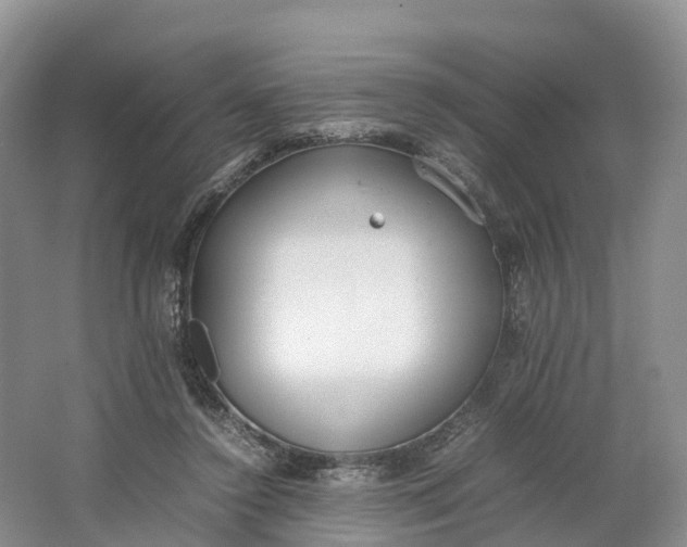 X0000064730356200602241727