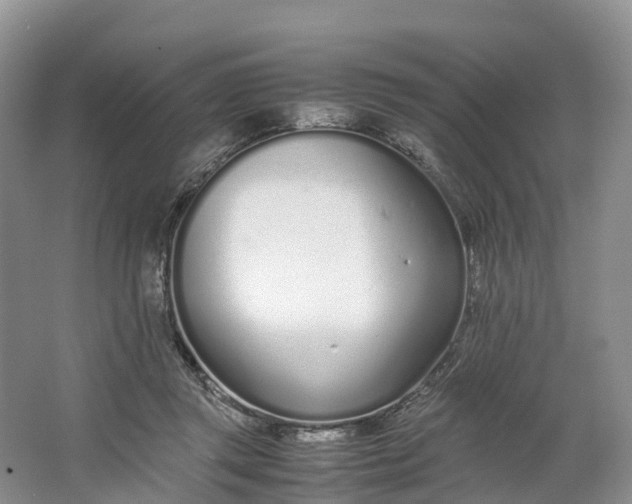 X0000064730357200602241727