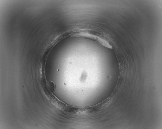 X0000064730358200602241727