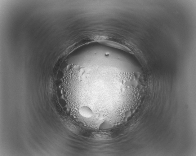 X0000064730359200602241727