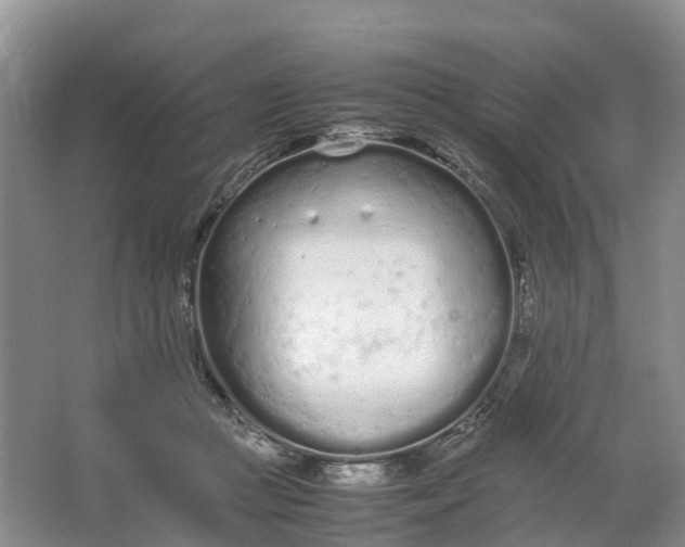 X0000064730361200602241727